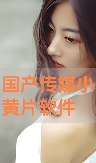 国产在线黄,揭秘国内色情内容产业的现状与挑战