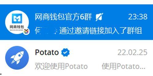 久久网国产视频,久久网带你领略本土影视魅力