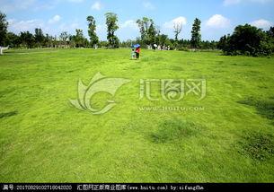 青青青草国产费观看,国产费观看的青春记忆