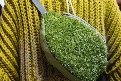 青青青草国产费观看,国产费观看的青春记忆