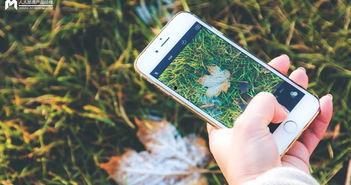 手机看片日韩国产